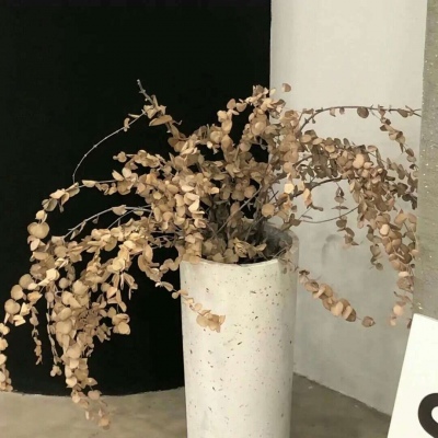 兽设冰雪元素设计福瑞群